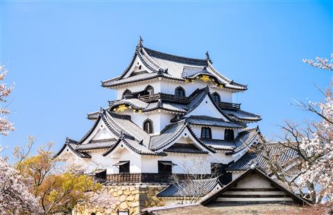 【国宝】彦根城 櫓の城壁に映える桜は目を見張る美しさ